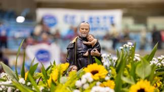 sao_vicente_de_paulo_2026