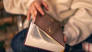 mes_biblia_vicentinos